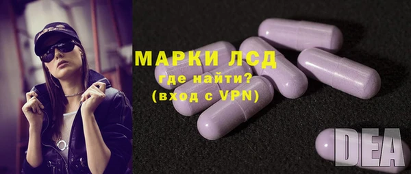прущие грибы Алзамай