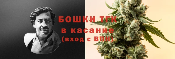 прущие грибы Алзамай