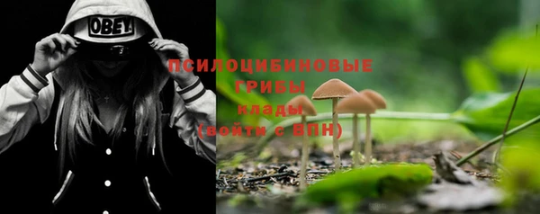 не бодяженный Алексин