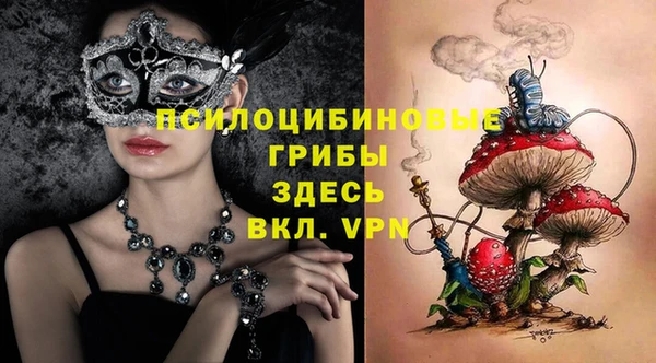 не бодяженный Алексин
