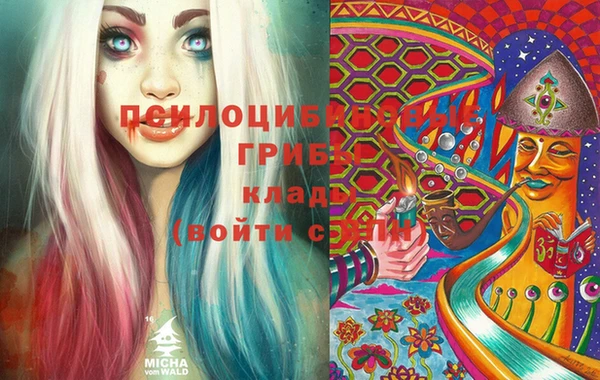 прущие грибы Алзамай