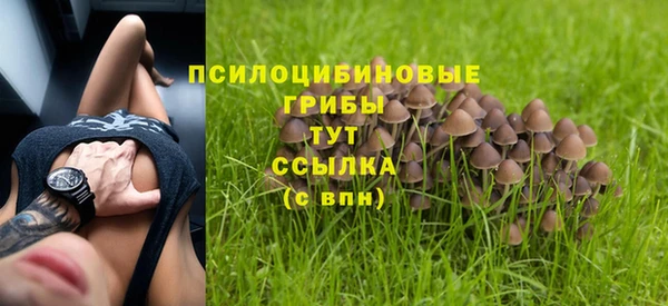 не бодяженный Алексин