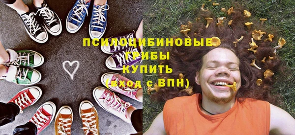 не бодяженный Алексин