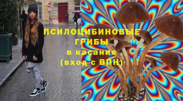 прущие грибы Алзамай