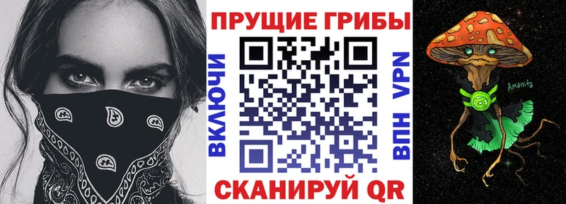 Псилоцибиновые грибы мухоморы  закладка  Оханск 